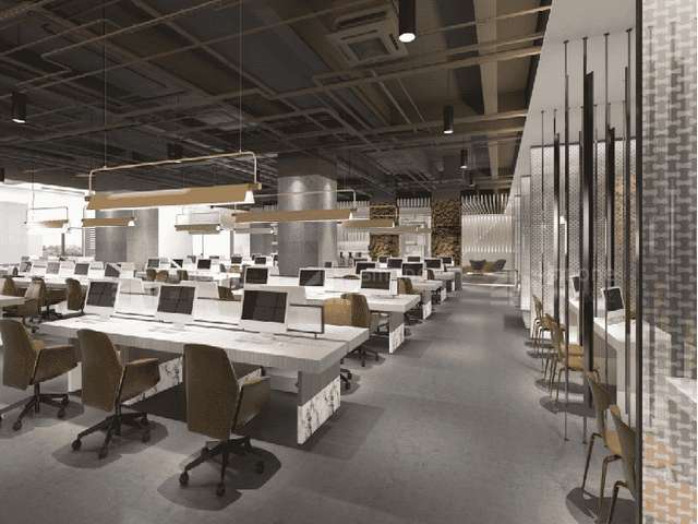 潍坊进口猫罐头哪家好